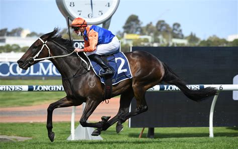 justhorserading|Just Horse Racing .